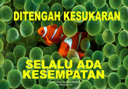 Harga : Rp. 25.000